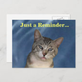 Erinnerung Tough Cat Postkarte (Vorne/Hinten)