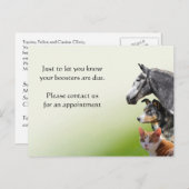 Erinnerung zur Impfung von Haustieren Postkarte (Vorne/Hinten)