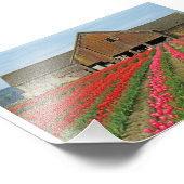 Erinnerungen des Frühlings. Fotodruck (Ecke)