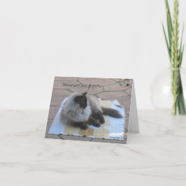 Erinnerungen-Katzenausweis Karte