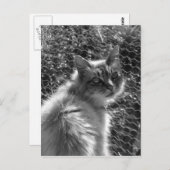 Erinnerungen Postkarte (Vorne/Hinten)