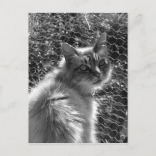 Erinnerungen Postkarte