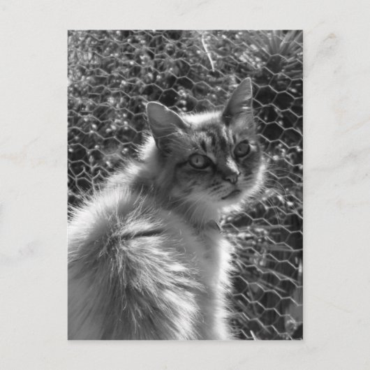 Erinnerungen Postkarte (Vorderseite)