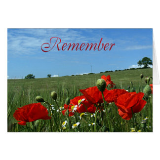Erinnerungs-Tagesmohnblumen-Feld