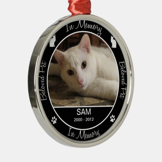 Erinnerungs- Verlust der Katze - Silbernes Ornament (Rechts)