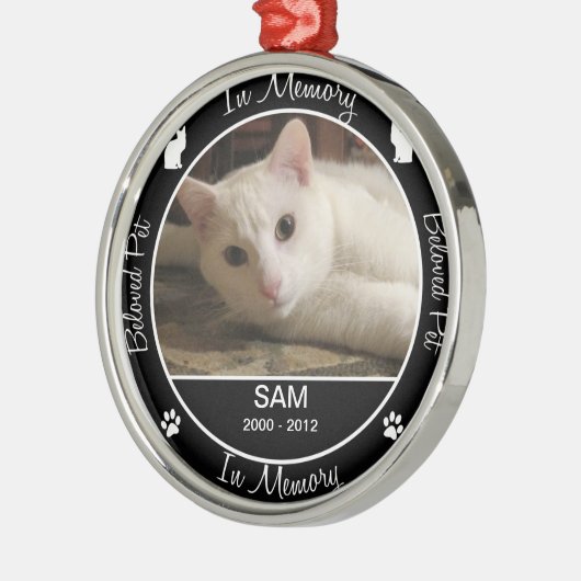 Erinnerungs- Verlust der Katze - Silbernes Ornament (Links)