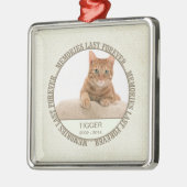 Erinnerungs- Verlust des Haustieres - Silbernes Ornament (Links)