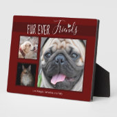 Erinnerungserinnerungen für Fotos Fotoplatte (Seite)