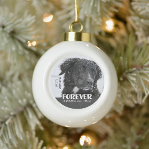 Erinnerungsfoto für Haustiere mit Beileid Keramik Kugel-Ornament