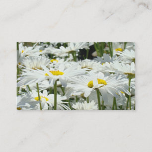 Erinnerungskarten Termine Gänseblümchen Blumen