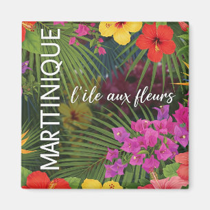Erinnerungsmagnet Martinique Magnet
