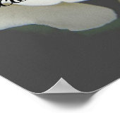 Erinnerungsschild, Vermisst du, weiße Rose Poster (Ecke)