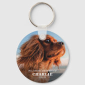 Erinnerungsstich für Foto Schlüsselanhänger (Rückseite)