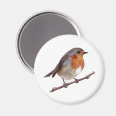 Erithacus Rubecula (Erithacus) Magnet (Vorderseite/Rückseite)