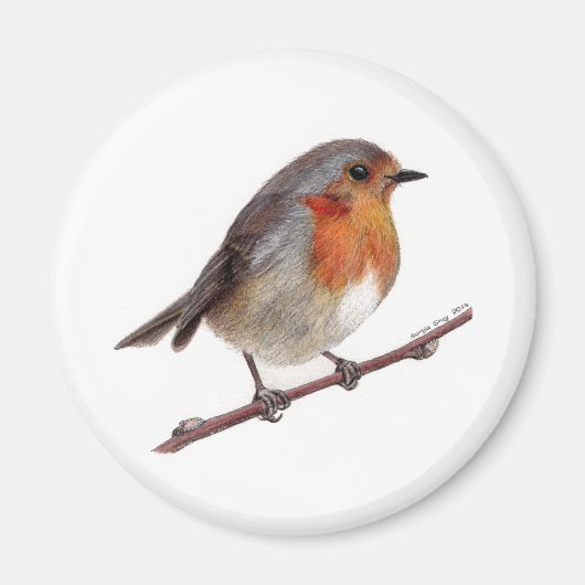Erithacus Rubecula (Erithacus) Magnet (Vorne)