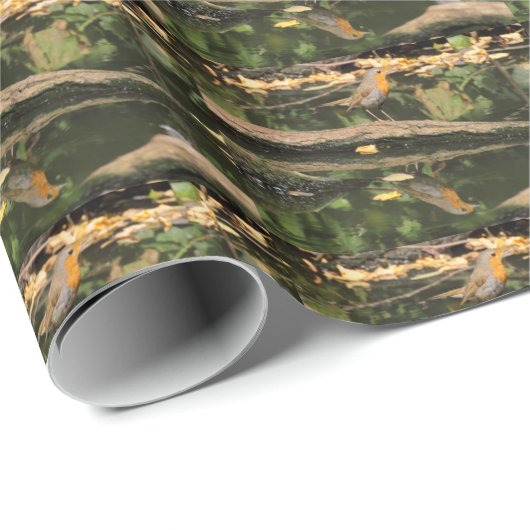 Erithacus rubecula geschenkpapier (Rolleneckpunkt)