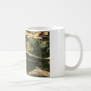 Erithacus rubecula kaffeetasse