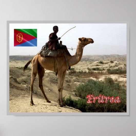 Eritrea - Kamel - Poster (Vorne)