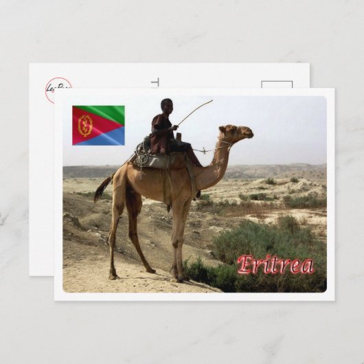 Eritrea - Kamel - Postkarte (Vorne/Hinten)