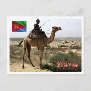 Eritrea - Kamel - Postkarte