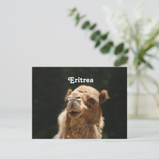 Eritrea Postkarte (Stehend Vorderseite)