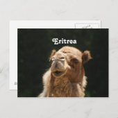 Eritrea Postkarte (Vorne/Hinten)