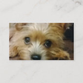 Erkennungsmarke-Schablonen-Visitenkarte Visitenkarte (Rückseite)