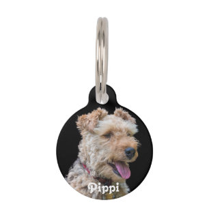 Erkennungsmarke Walisers Terrier Tiermarke