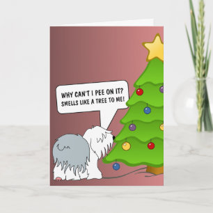 Erklären Sie die Bedeutung von Weihnachten Ihrem