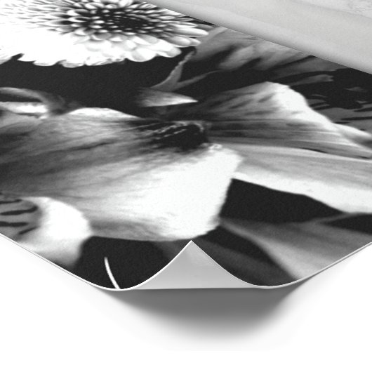 Erklärung der Liebe Schwarz-Weiß-Poster Poster (Ecke)