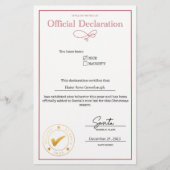 Erklärung von Santa Nice (Vorderseite)