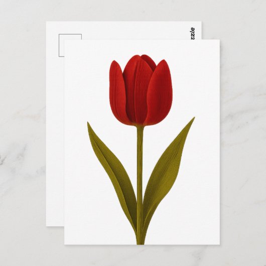 Erklärung zur Liebe Postkarte (Vorne/Hinten)