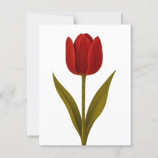 Erklärung zur Liebe Postkarte