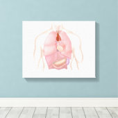 Erkrankungen der Atemwege und des Verdauungssystem Leinwanddruck (Insitu (Holzboden))