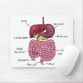 Erkrankungen des Gastrointestinaltrakts Mousepad (Mit Mouse)