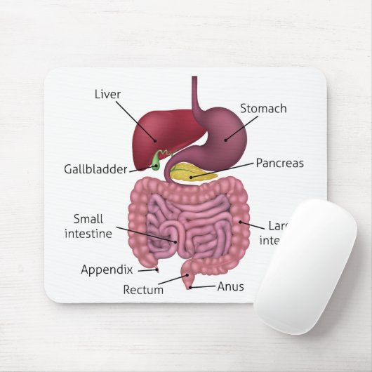 Erkrankungen des Gastrointestinaltrakts Mousepad (Mit Mouse)