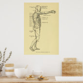 Erkrankungen des Nervensystems Chiropraktisch Poster (Küche)