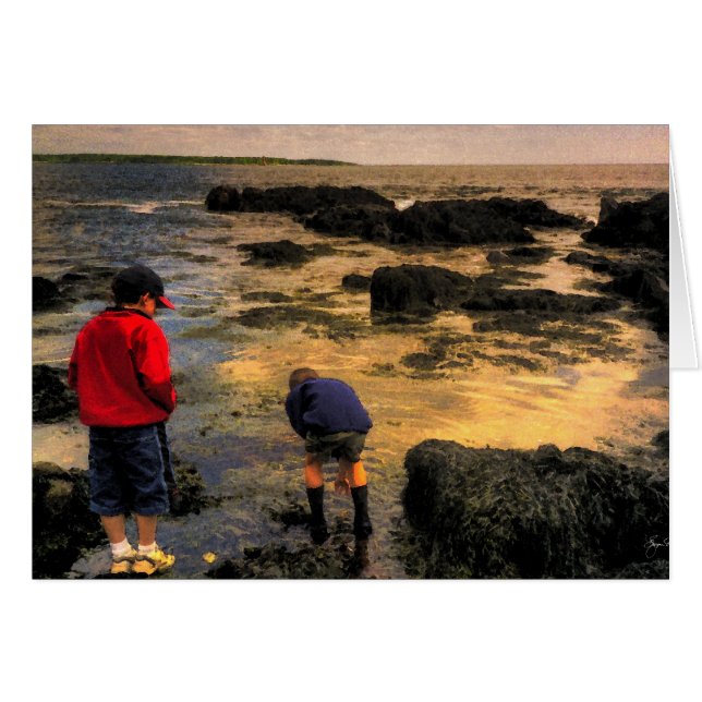 Erkundung der Gezeitenpools (Vorderseite (Horizontal))