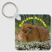 Erkundung der Natur mit einer Niedlichen Guinea Sc Schlüsselanhänger (Vorderseite)