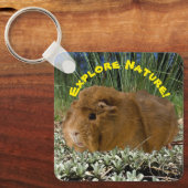 Erkundung der Natur mit einer Niedlichen Guinea Sc Schlüsselanhänger (Vorderseite)