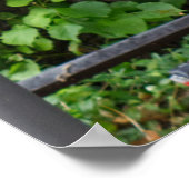 Erlangen Windows und Fahrrad in Deutschland Poster (Ecke)