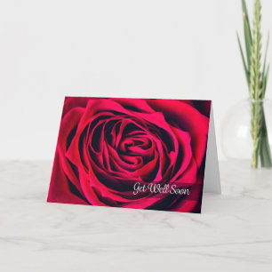 Erleben Sie bald alles, was für eine schöne Rose N Feiertagskarte