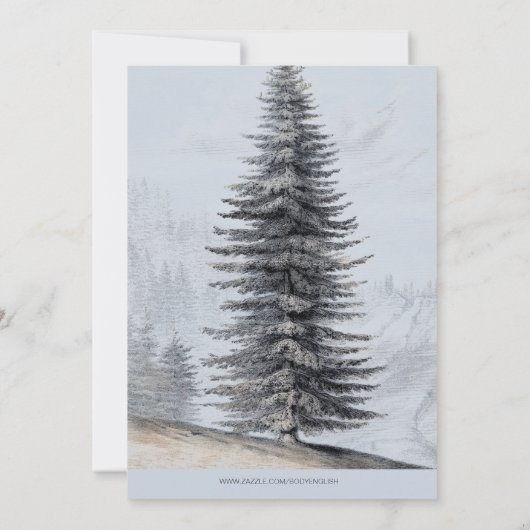 Erlebnis erwartet Rustikale Bären Baby Sprinkle Einladung (Rückseite)