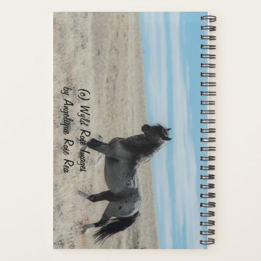 Erlebnisplaner mit blauem Zeus Planer (Rückseite)