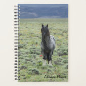 Erlebnisplaner mit blauem Zeus Planer (Vorderseite)