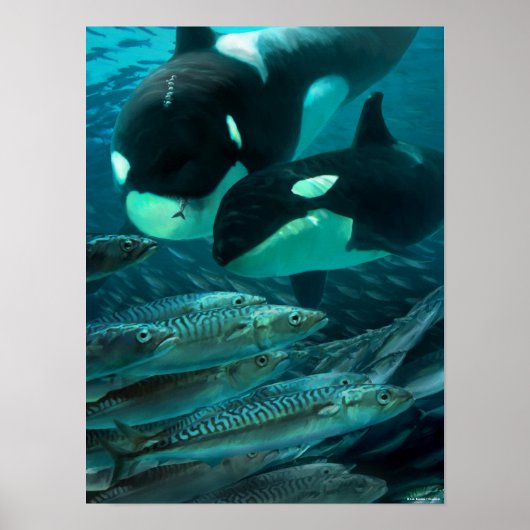 Erlernen der Makrelenjagd Poster (Vorne)