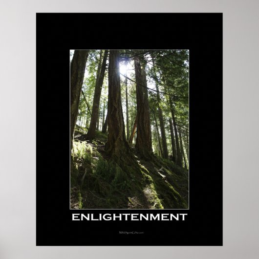 ERLEUCHTUNG Forest Motivierend Foto Poster (Vorne)