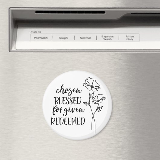 Erlöst Magnet (In Situ (Geschirrspüler))