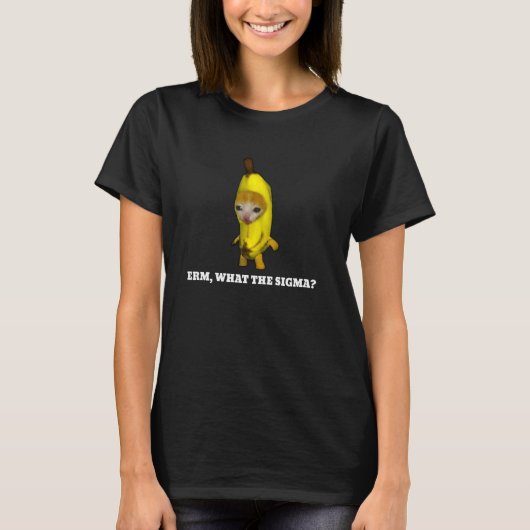 Erm, Was Sigma Cat meme T-Shirt (Vorderseite)