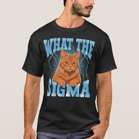 Erm, was Sigma Meme Cat Funny T-Shirt (Vorderseite)